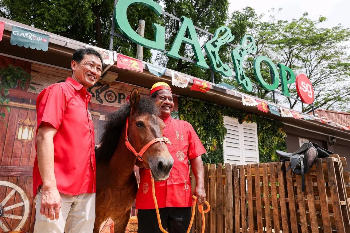 Subscribe Placeholder