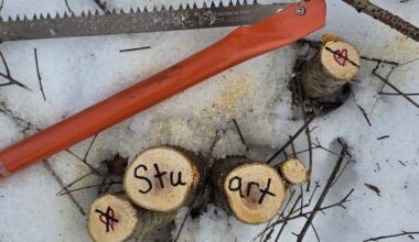 A saw and cut tree branches lie on snow; the cut surfaces show hearts and the word Stuart written in marker.