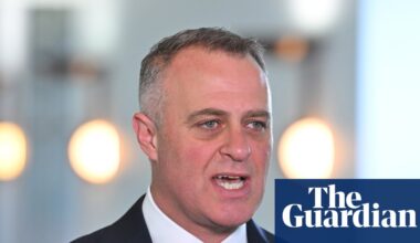 Is Tim Wilson an ‘inflation nutter’? Why the new shadow treasurer’s RBA comments are making waves | Australian economy