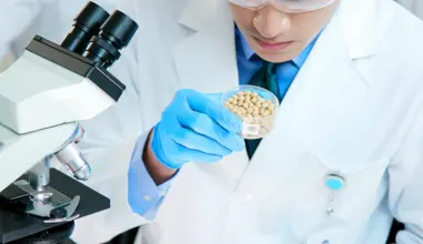 Nutrition Insight logo