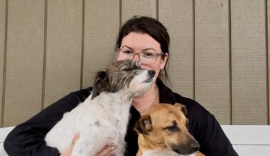 Feeling hounded: Barking dog row in Clive leaves owner afraid to leave home