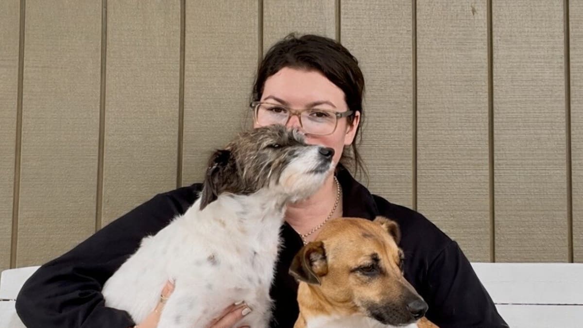 Feeling hounded: Barking dog row in Clive leaves owner afraid to leave home