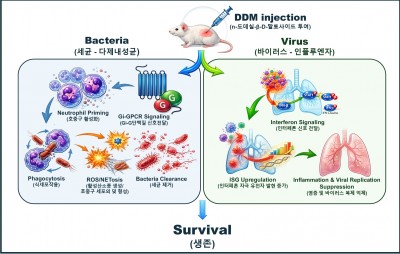 One Strategy to Block Both Drug-Resistant Bacteria and Influenza: New Broad-Spectrum Infection Prevention Approach Validated