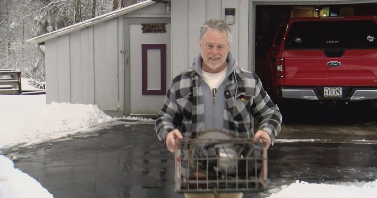 Wisconsin artist bringing new iron Hodag sculpture to Rhinelander this summer | Local News