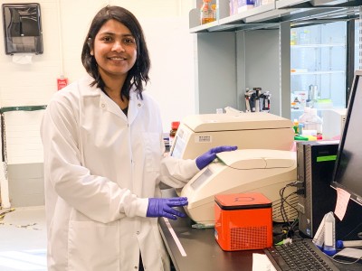 Nanoplastics Can Interact with Salmonella to Affect Food Safety, Study Shows