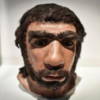 The sex lives of Neanderthal males - and human females | National