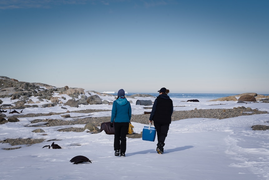 Two people walk through an ice covered environment.