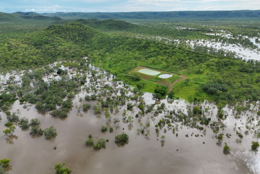 Dark floodwaters creeping across a green landscape, as seen from above.