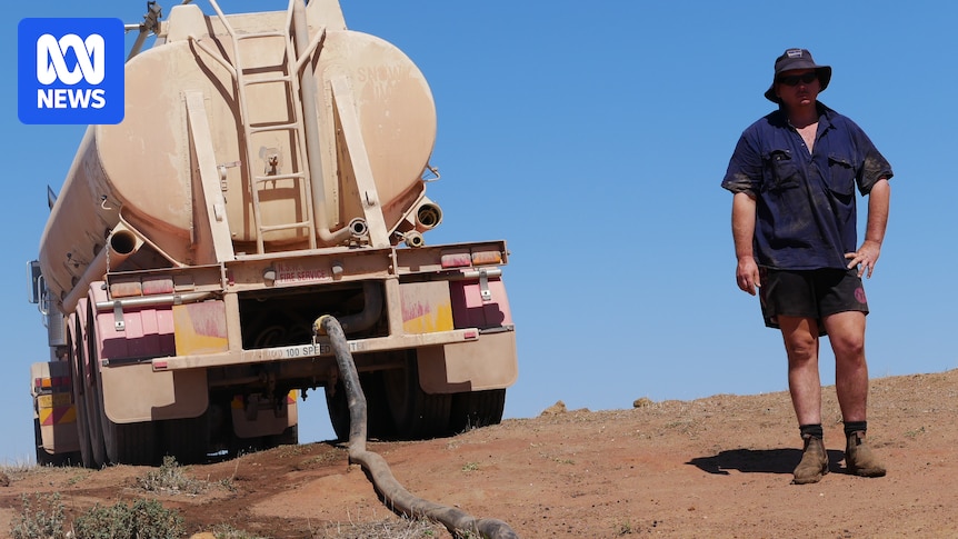 Feed and water supplies dry up in NSW as drought tightens grip