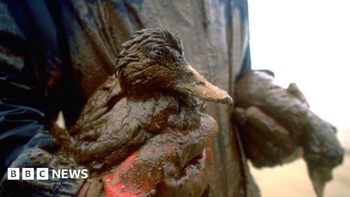 A striking photo from the air of the Sea Empress tanker, surrounded by tugboats and vast swathes of oil polluting the sea around it.