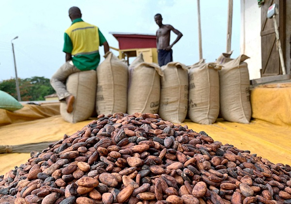 How global shocks forced Ivorian cocoa farmers to store beans, accept low prices