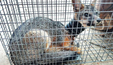 Yahoo lifestyle home