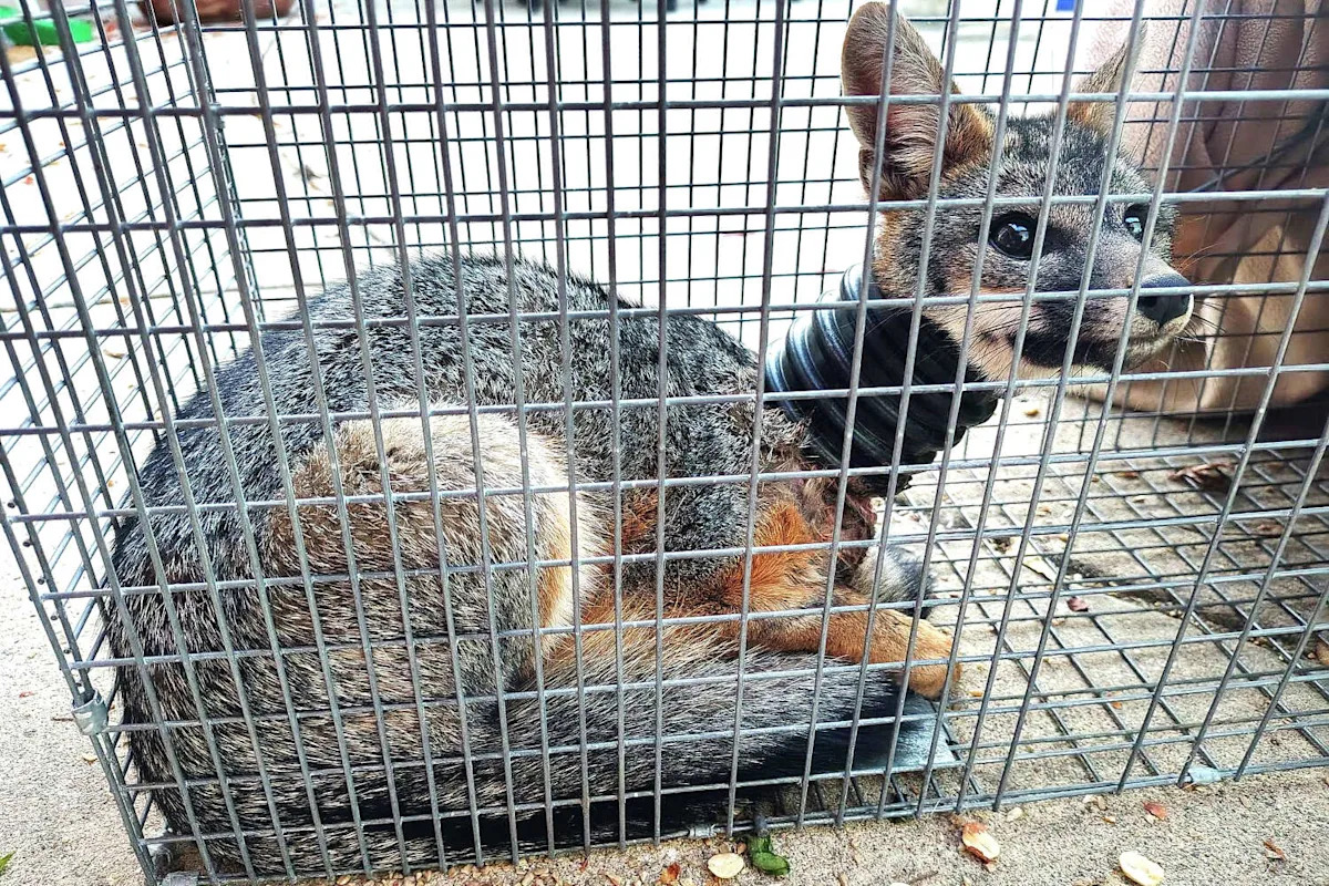 Yahoo lifestyle home