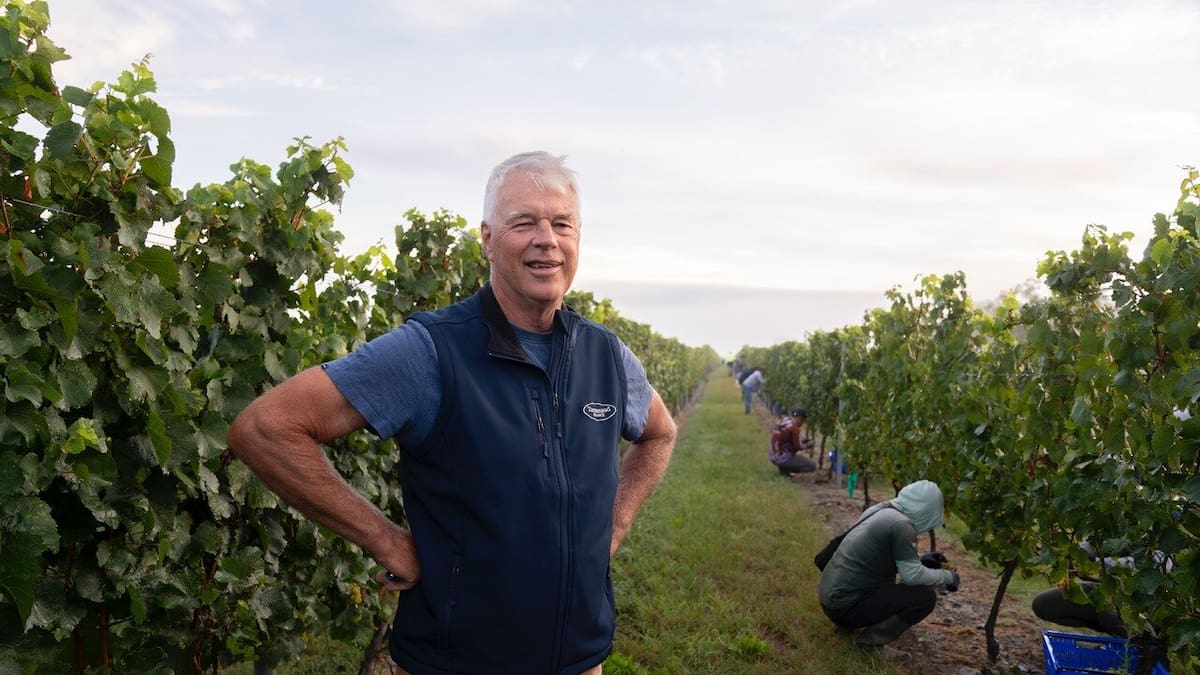 Hawke’s Bay winemaker Tony Bish locks in the earliest grape harvest in 45 year career