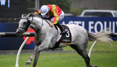 Horse racing: Australians being subsidised to race here, annoying local trainers