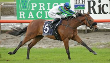 Waikato Stud stallion gets timely boost with impressive juvenile