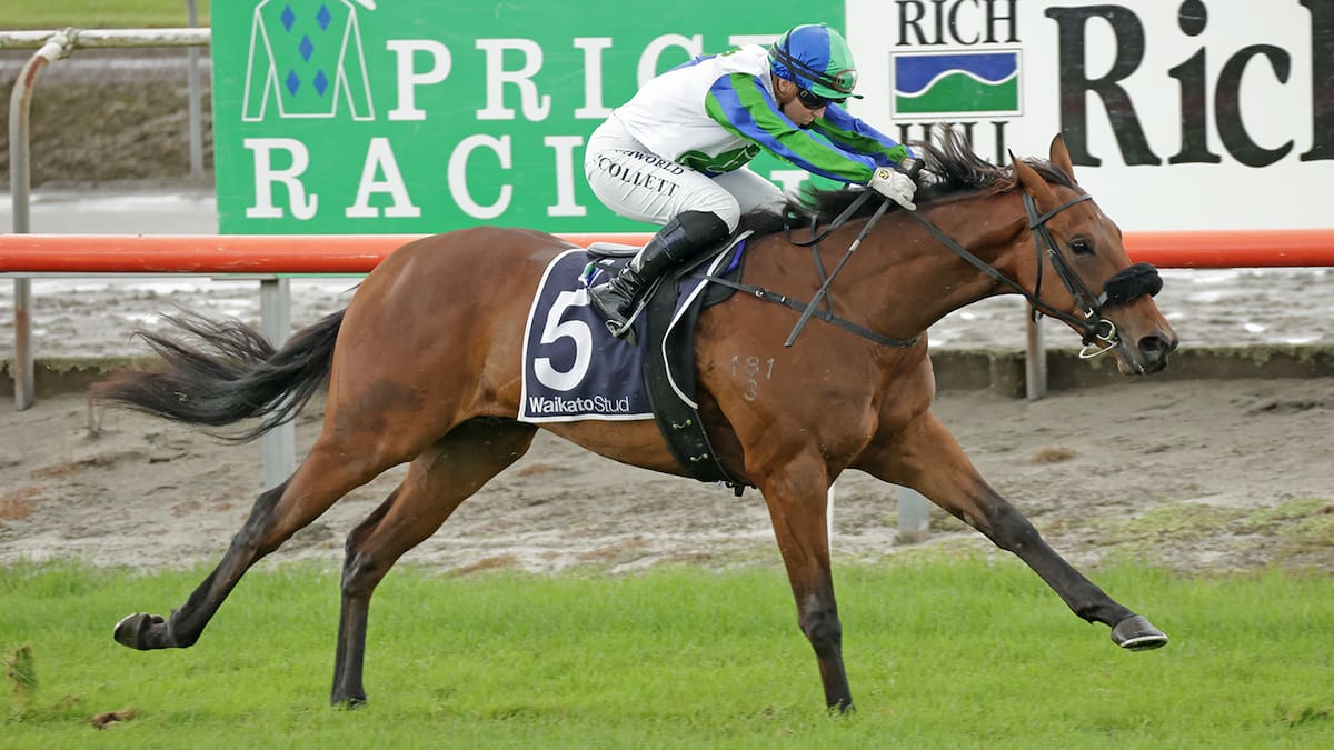 Waikato Stud stallion gets timely boost with impressive juvenile