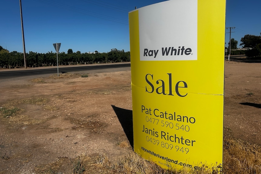 A sign advertising Ray White Riverland on the drive into Renmark in front of grape vines.