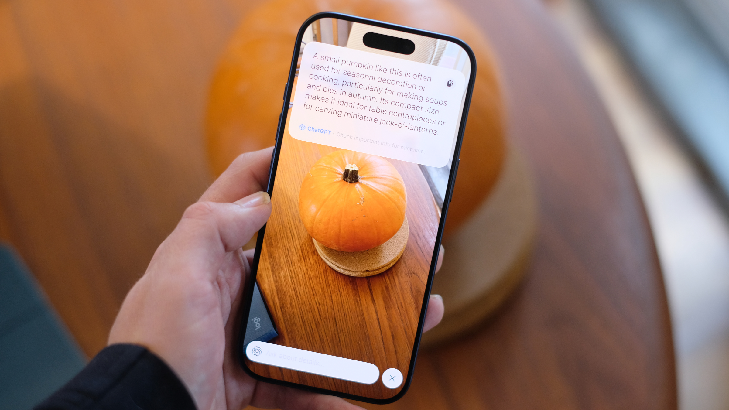 iPhone 17 Pro visual intelligence being used to identify a pumpkin