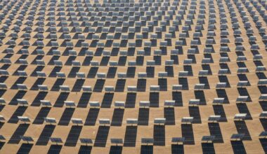 Solar plant generating new life