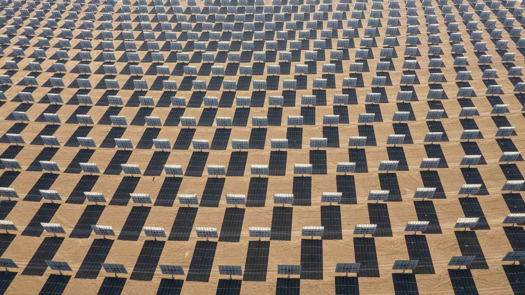 Solar plant generating new life