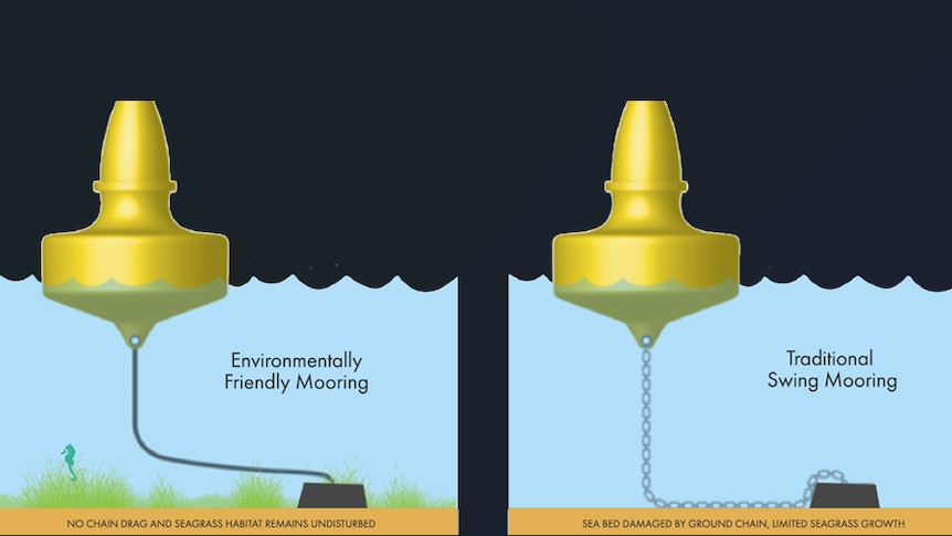 A diagram showing how a floating mooring allows seagrass and marine life to grow.