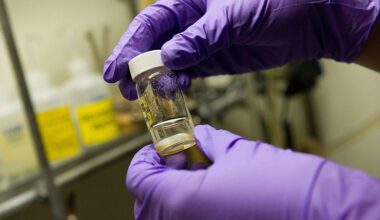 Single vaccine could protect against all coughs, colds and flus, researchers say