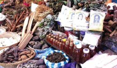 Here is the percentage of Ghanaians who rely on herbal medicine