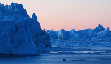 Greenland does not need Trump’s ‘great hospital boat’, Denmark says