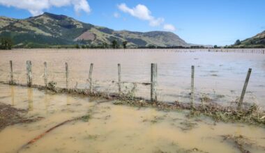 Banks Peninsula farmers and businesses counting the cost of floods