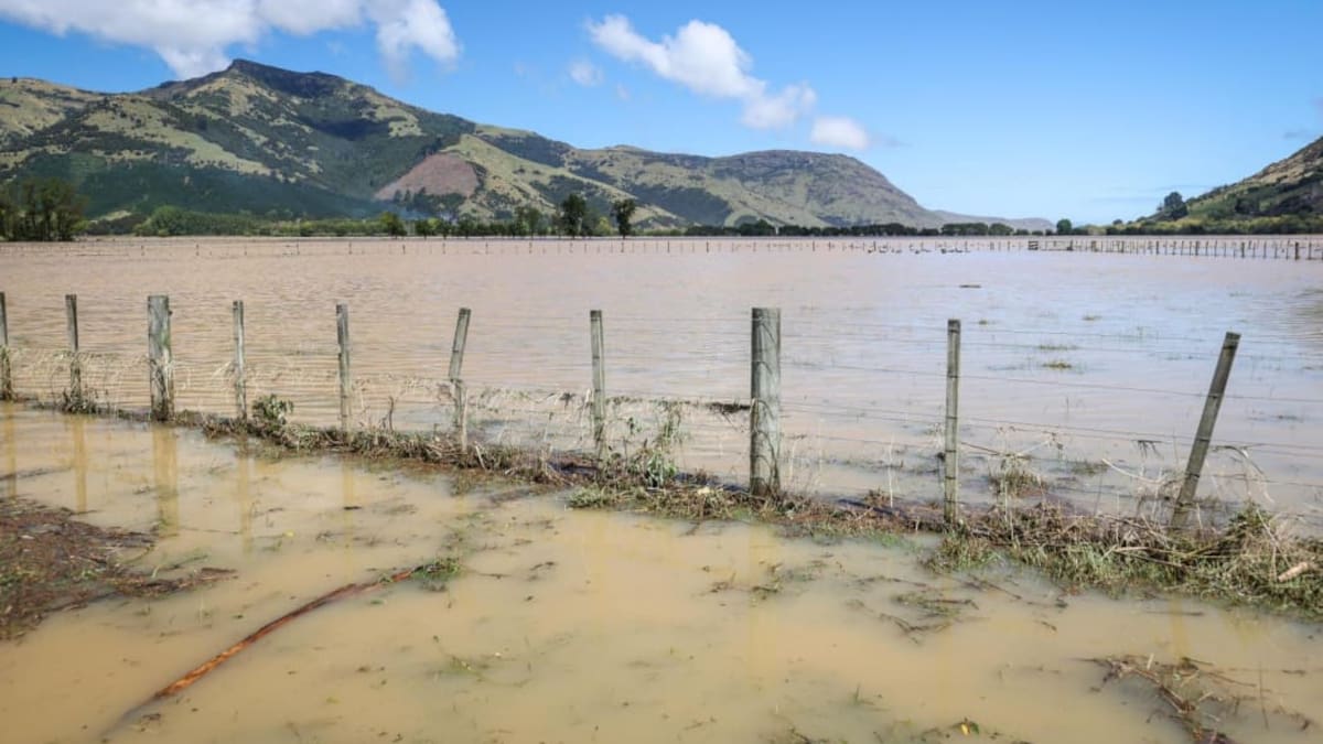 Banks Peninsula farmers and businesses counting the cost of floods