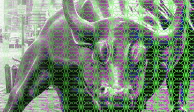 Opinion | Wall Street’s AI stock panic: Separating fear from reality