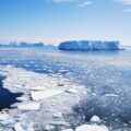 Antarctic ice
