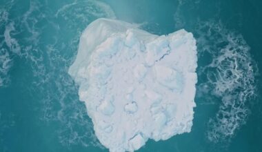 Antarctica’s ‘gravity hole’ grew stronger as the continent froze