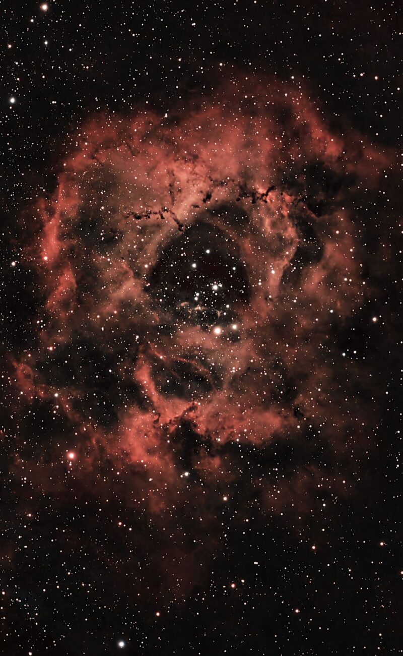A large, spherical and hollowed-out cloud of orange gas, with a multitude of immersed stars.