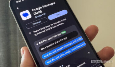 A screenshot of the Ask Play About this app feature in the Google Play Store