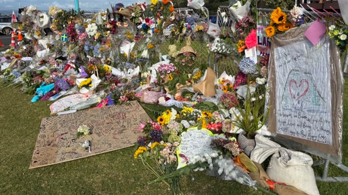 Tauranga mayor says it’s unlikely Mount Maunganui landslide area will remain a campsite