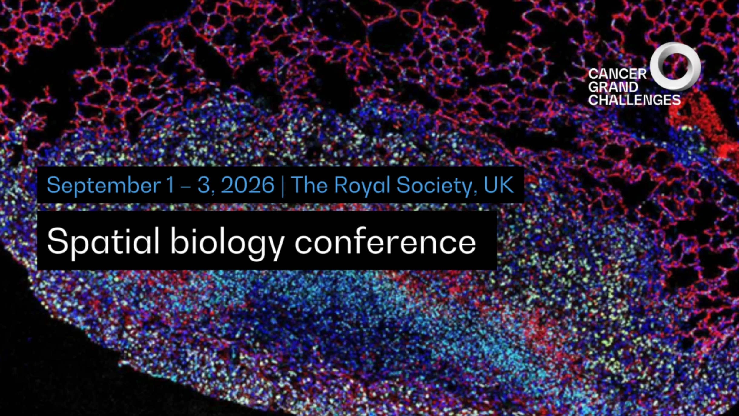 Cancer Grand Challenges