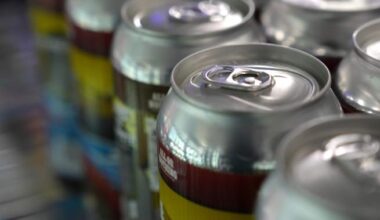 Why Canadian beer cans are ‘almost impossible’ as tariffs near 1-year mark - National