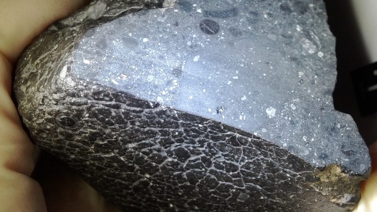 Scientists Scanned a Black Rock From Mars And Found Something Surprising : ScienceAlert