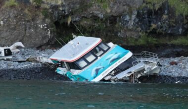 Update on Black Cat Cruises vessel incident, Akaroa Harbour