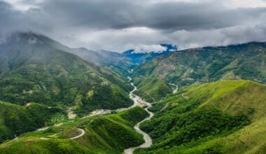 Bolivian Hiker Killed 4-Foot Snake That Turned Out To Be Something Surprising