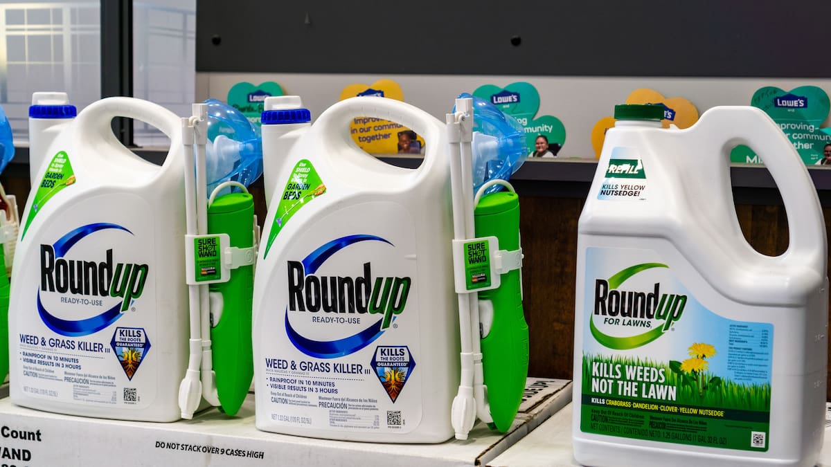 German agrichemical giant Bayer proposes class settlement for weedkiller cancer claims