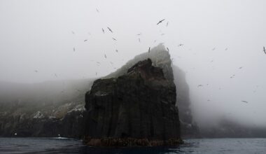 New Zealand’s remote islands have natural wonders you won’t find anywhere else