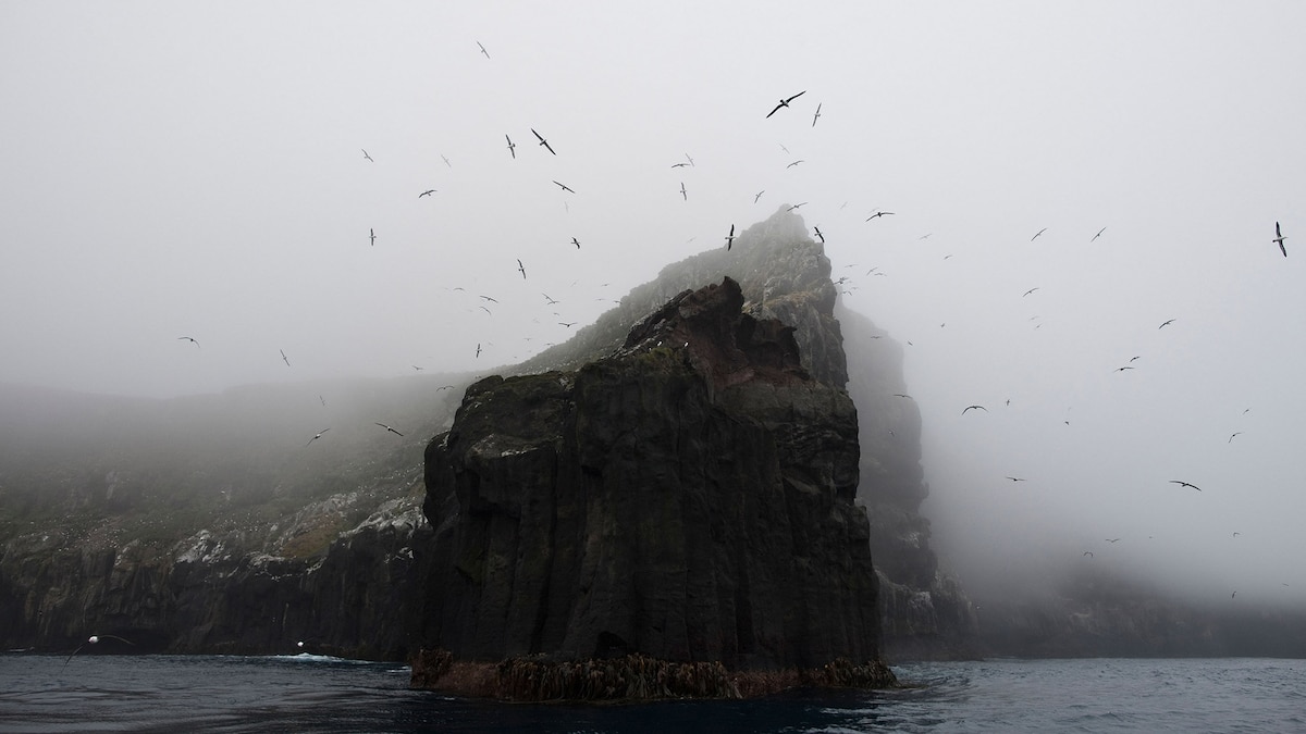 New Zealand’s remote islands have natural wonders you won’t find anywhere else