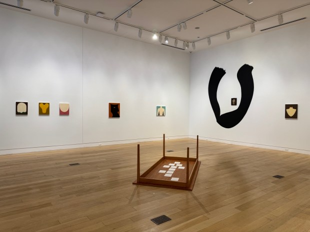 The exhibition "Alice Tippit: Rose Obsolete," curated by Ionit Behar, opens March 5 at the DePaul Art Museum. (Provided by DPAM)