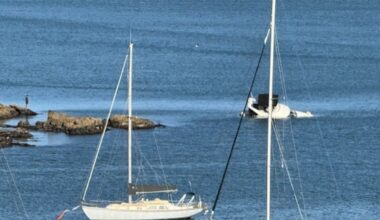 Three people, two dogs escape sinking boat in Opito Bay, Northland