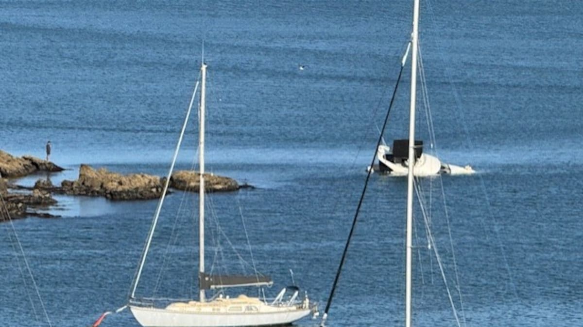Three people, two dogs escape sinking boat in Opito Bay, Northland