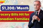 Canada Grocery Bills Prices