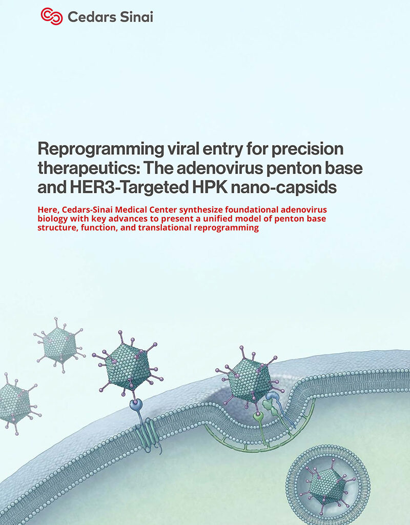 Reprogramming viral entry for precision therapeutics
